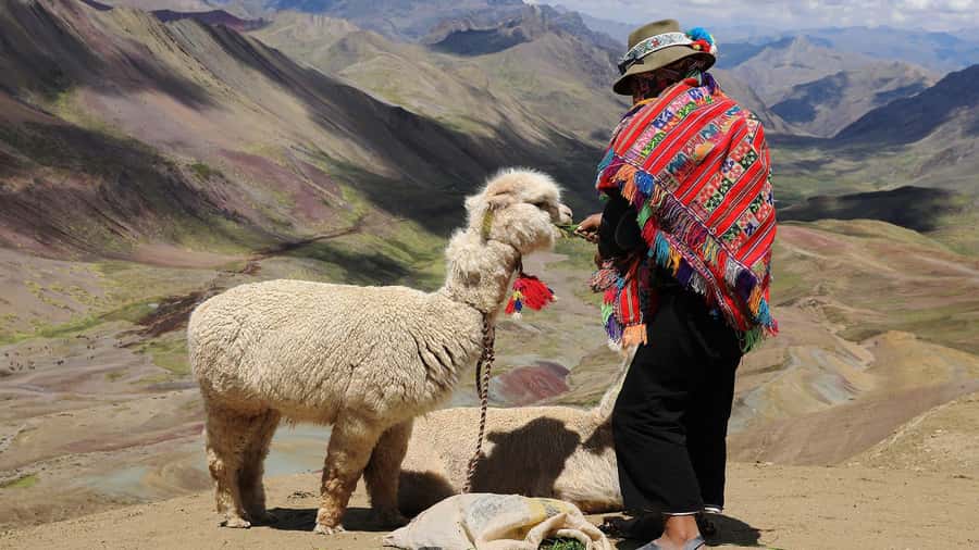 Cuzco: Rainbow Mountain Excursion - What the $34 price really covers
