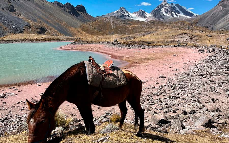 Excursion: Explore in one day the 7 lakes of Ausangate from Cusco - Key points to know before you book