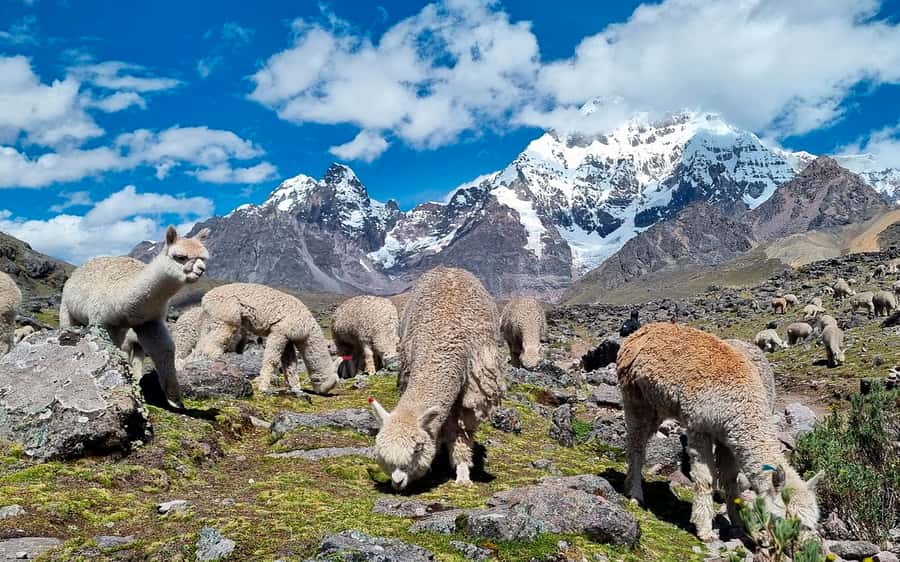 Excursion: Explore in one day the 7 lakes of Ausangate from Cusco - The seven lagoons and the best photo stops