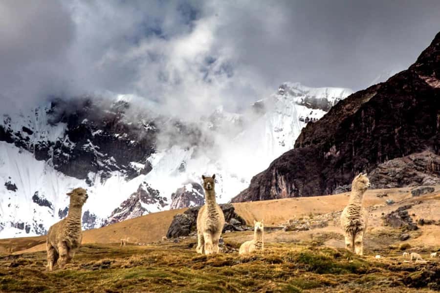 Excursion: Rainbow Mountain and Ausangate 7 Lagoons 2 days - What is included and what costs extra