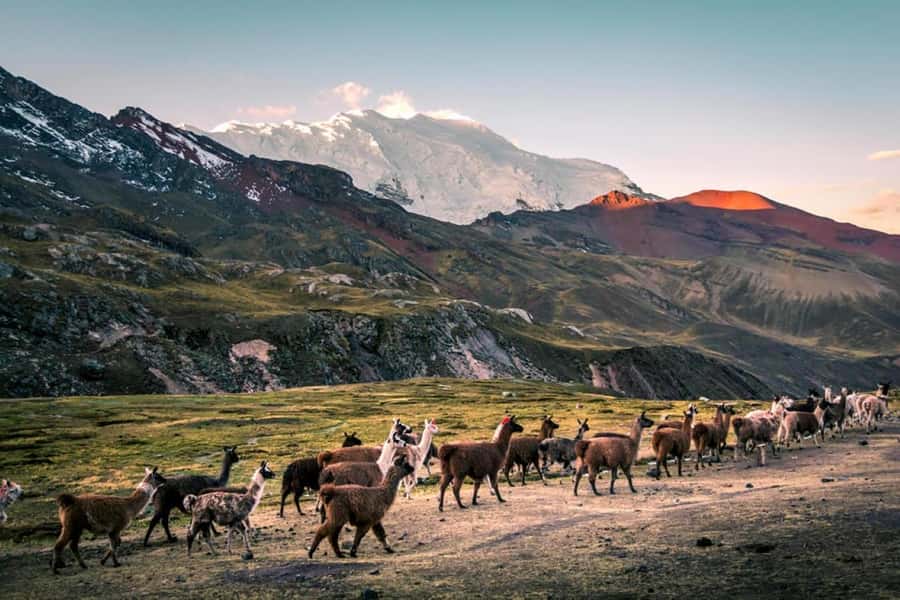 Excursion: Rainbow Mountain and Ausangate 7 Lagoons 2 days - Fitness, altitude, and what to pack