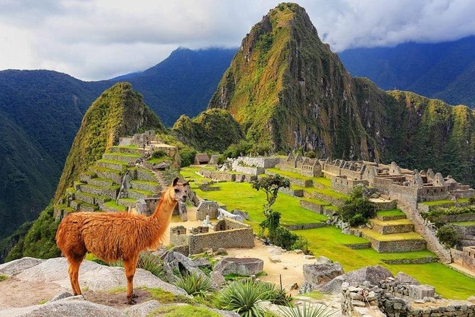 Excursion to MachuPicchu from Cusco with lunch | Private Service| - A before-dawn start from Cusco