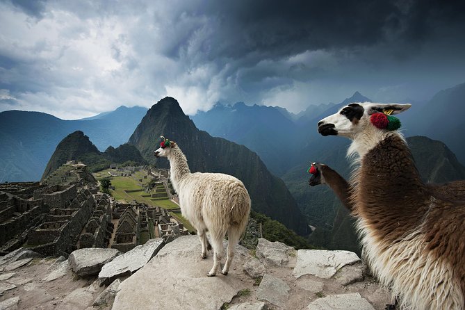 Excursion to MachuPicchu from Cusco with lunch | Private Service| - Two hours inside Machu Picchu