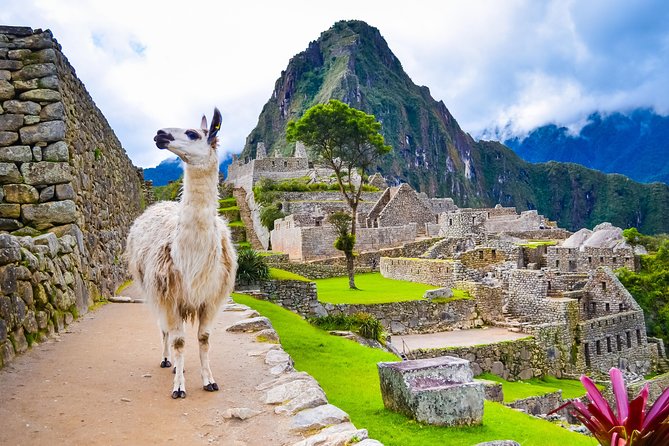 Excursion to MachuPicchu with Train Vistadome Full Day - What the two-and-a-half-hour visit gives you