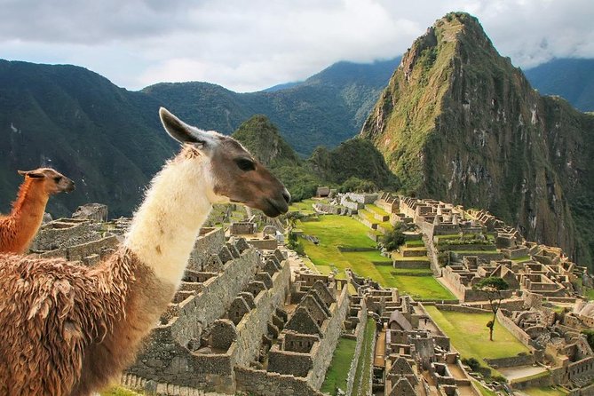 Excursion to MachuPicchu with Train Vistadome Full Day - Who should book this full-day tour?