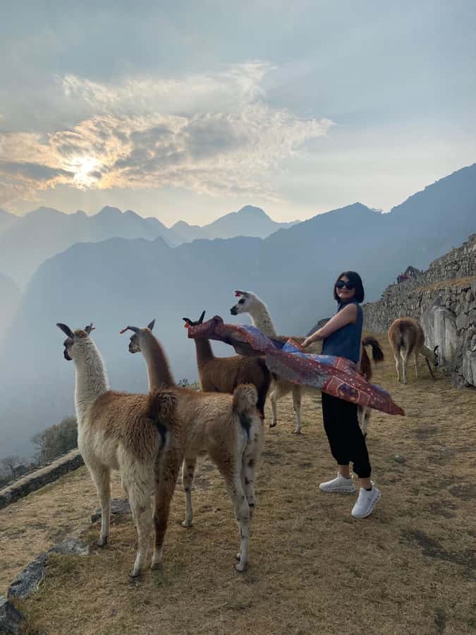 From Aguas Calientes: Machu Picchu guided tour with tickets - From Aguas Calientes to the mountain entrance