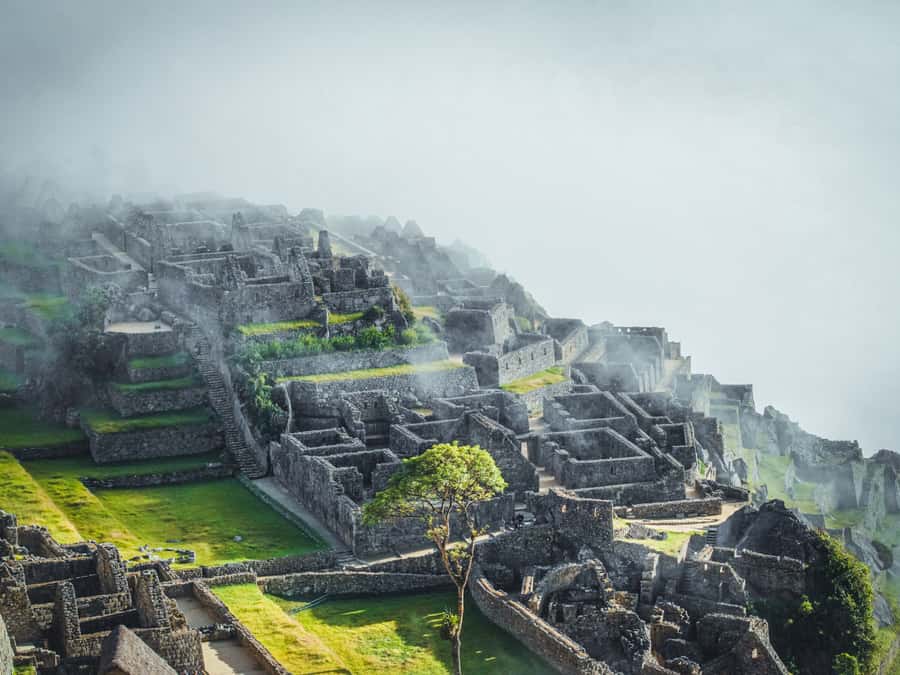 From Cusco: 2-Day Sacred Valley and Machupicchu by Train - Morning views, alpacas, and the first look at the Sacred Valley