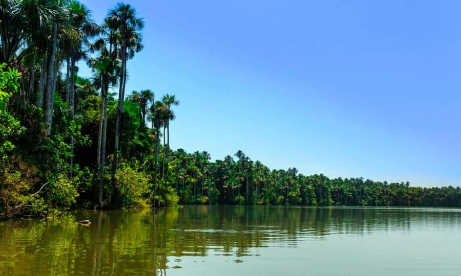 From Cusco: 4 Day Puerto Maldonado Sandoval Lake Excursion - Kayaking, canopy bridges, and sunset