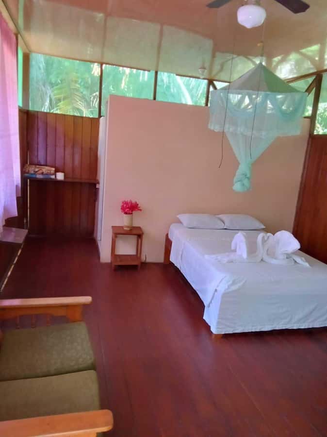 From Cusco: Amazon jungle for two days with sleeper bus and private lodge - Is this Amazon trip worth booking?