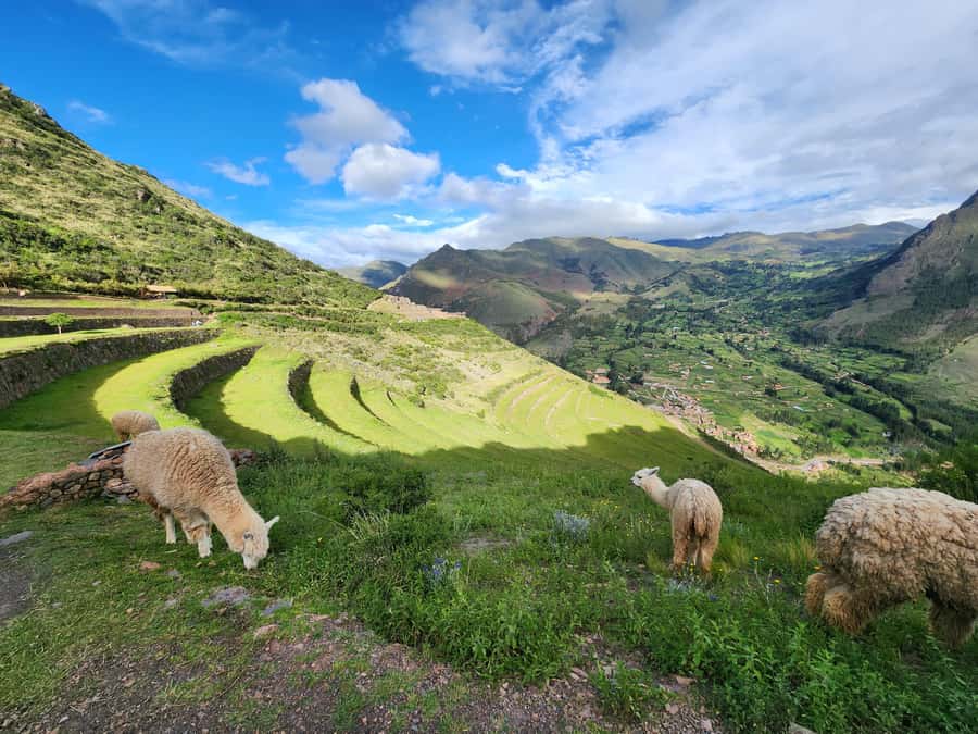 From Cusco: Chinchero, Moray, Maras, Ollantaytambo and Pisaq - Extra Stops and Shopping Time