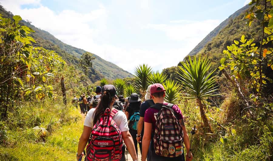 From Cusco: Full-Day Round-Trip Train Tour to Machu Picchu - Why this train tour works for a one-day Machu Picchu visit