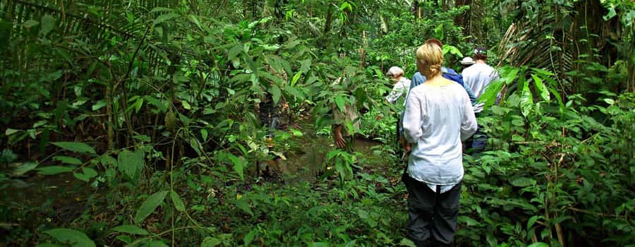From Cusco: Manu National Park 3 Day Tour - From Cusco’s high valleys to Manu’s forest