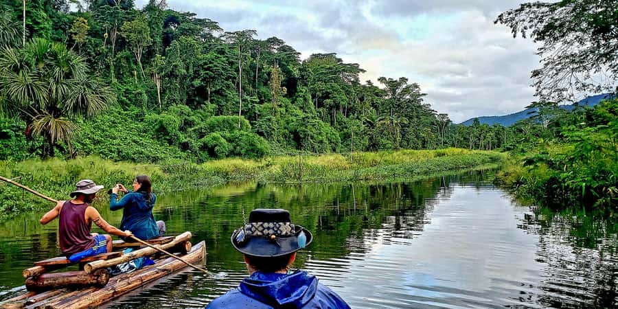 From Cusco: Manu National Park Tour & Accommodation 3 Days - What the guides add to the forest walks