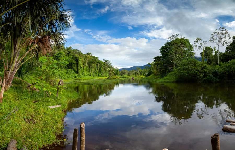 From Cusco: Manu National Park Tour & Accommodation 3 Days - The plant garden and the long return to Cusco