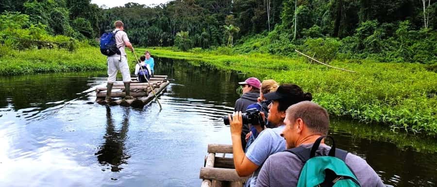 From Cusco: Manu National Park Tour & Accommodation 3 Days - Caves, palms, and night creatures near the hostel