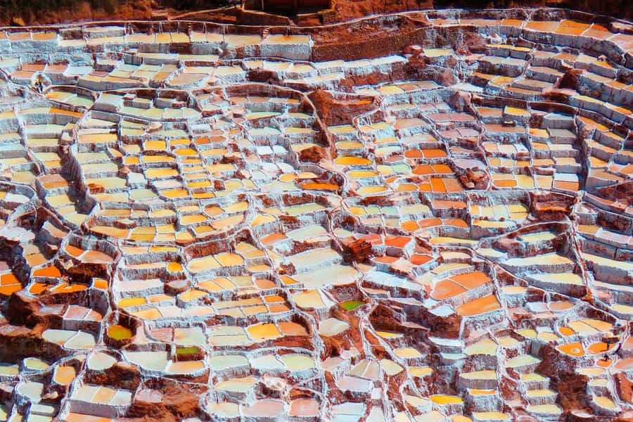 From Cusco: Maras Salt Mines and Moray Half-Day Tour - Who should book this outing