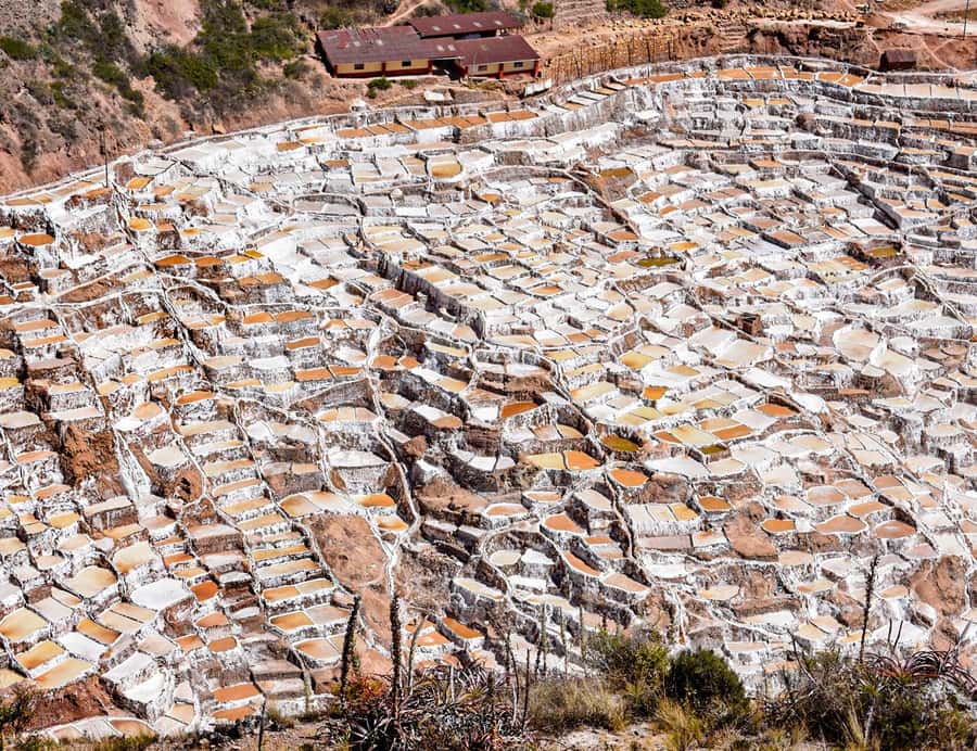 From Cusco: Moray, Maras Salt Mines & Chinchero Weavers Tour - Transport, pickup, and timing