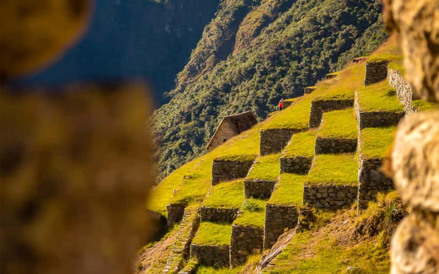 From Cusco: One-Day Round Trip to Machu Picchu by Train - What the $350 price includes