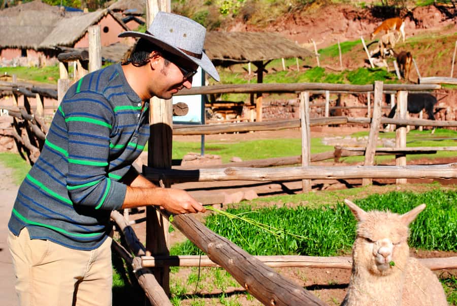 From Cusco: Private Pisac Ruins and Alpaca Farm Day Trip - Key points to know before booking