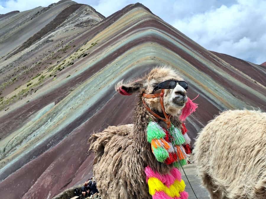 From cusco: Rainbow Mountain ATV Tour with meals - What the $65 price really covers
