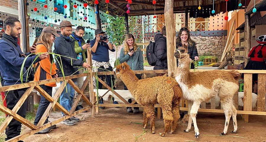 From Cusco: Sacred Valley & Maras Salt Mines Tour with Lunch - Key points to know before booking