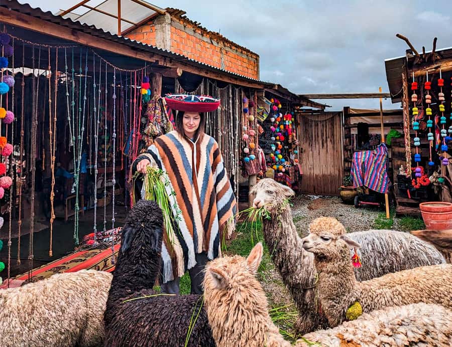 From Cusco: Sacred Valley & Moray, Salt Mines with Lunch - Key points at a glance