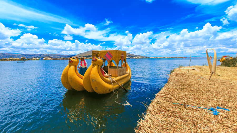 From Puno: Travel to Cusco in Titicaca Train All Inclusive - Arriving in Cusco and handling the final transfer