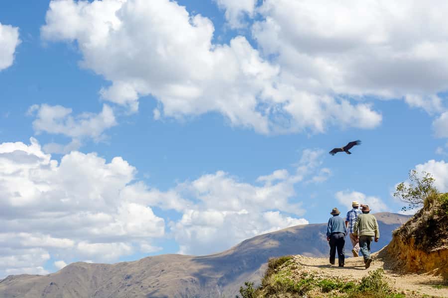 Full-Day Condor Viewpoint & Inca Sites Tour - Tarawasi and a quieter Inca setting