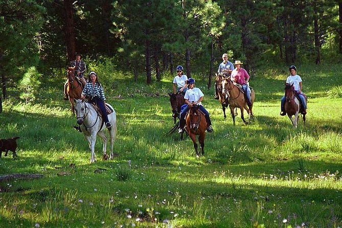 Horseback Riding Plus Tour to Sacsayhuaman, Quenqo, Puka Pucara and Tambomachay - Sacsayhuaman, the powerful first stop