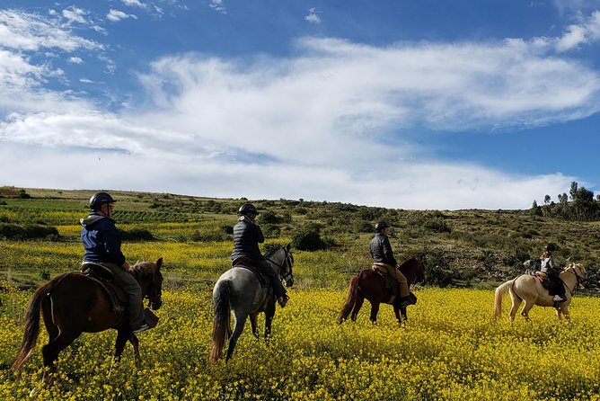 Horseback Tour in cusco to Temple of the Moon & Hidden temples - Who should book this experience