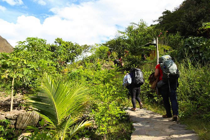 Inca Jungle Premium to Machu Picchu 4-Day and 3-Nights - Day 4: Walking up to Machu Picchu