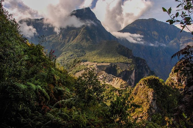 Inca Jungle Premium to Machu Picchu 4-Day and 3-Nights - The guide and group size
