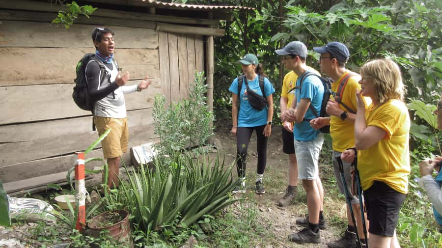 Inca Jungle Trail to Machu Picchu in 4 Days - Why this route feels different from a standard Machu Picchu trip