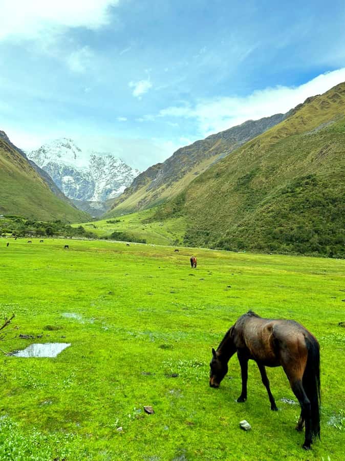 Lagoon Humantay. Full Day Tour with Breakfast and Lunch - The drive through Mollepata and the Apurímac valley