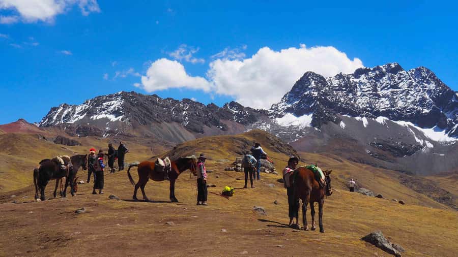 Lima: 7-Day Inca Tour with Flights and Machu Picchu - A busy week with Peru’s biggest contrasts