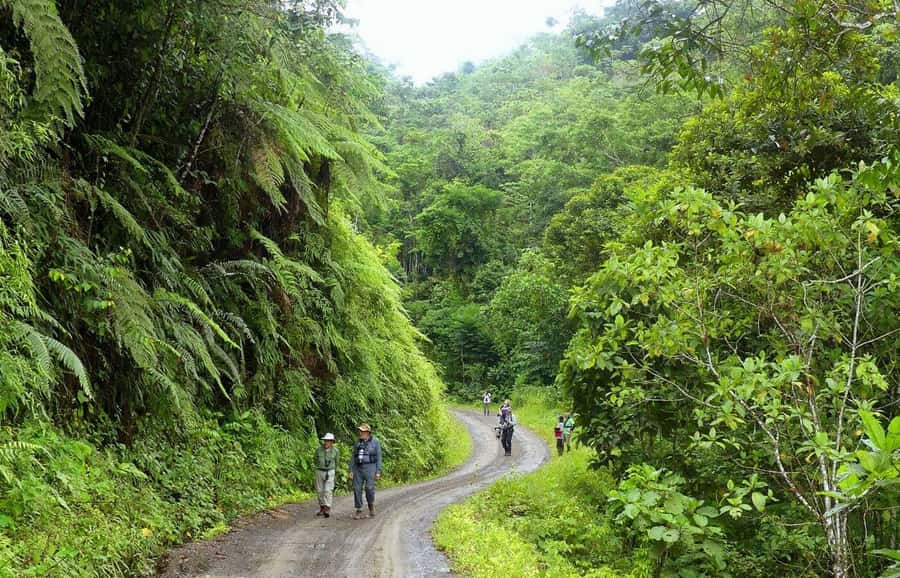 Living Nature from Cusco: 3 Days Manu Jungle all inclusive - Key things to know before booking