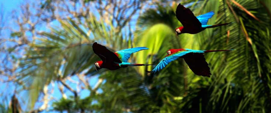 Living Nature from Cusco: 3 Days Manu Jungle all inclusive - What the $390 price really covers