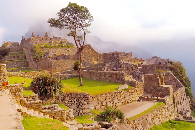 Machu Picchu 1 Day Tour from Cusco by Train - Group size, guide quality, and communication