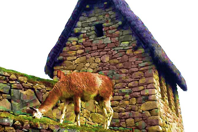 Machu Picchu 1 Day Tour from Cusco by Train - Aguas Calientes, the gateway village
