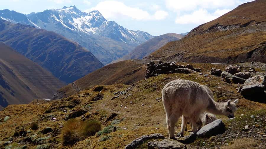 Machu Picchu 2 Days / 1 Night (By Bus) - Why the road route feels like a real journey