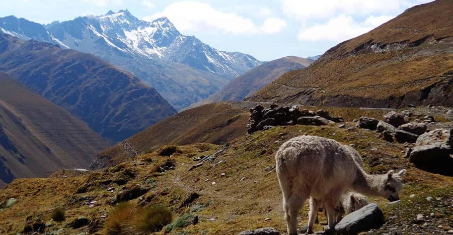 Machu Picchu 2 Days / 1 Night (By Bus) - Booking advice and practical preparation