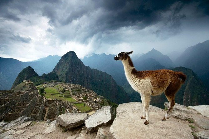 Machu Picchu Entrance Ticket - Choosing between a ticket and a staffed visit