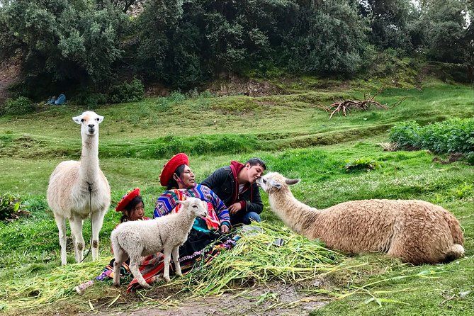 Machu Picchu Full Day from Cusco - What $319.85 buys you