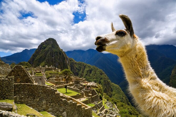 Machu Picchu Full Day with lunch by Aludi Travel - Walking through Machu Picchu