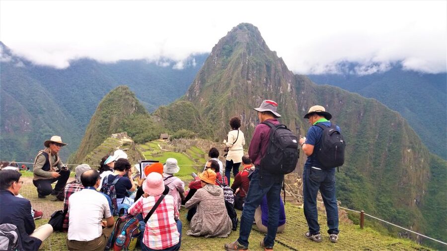 Machu Picchu: Private Tour Guide Service - Stories, plants, and the human side of the site
