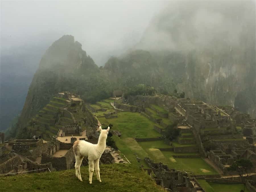 Machu Picchu: Private Tour Guide Service - Extra hikes after the main tour