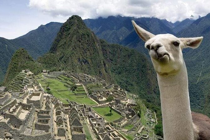Machu Picchu Small Group Day Tour from Cusco - The group size question