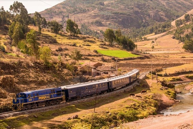 Machu Picchu Tour By Train (2 Days) - What the guided visit adds