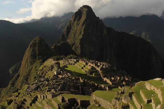 Machu Picchu Tour From Cusco Full Day - What a group of up to 15 feels like