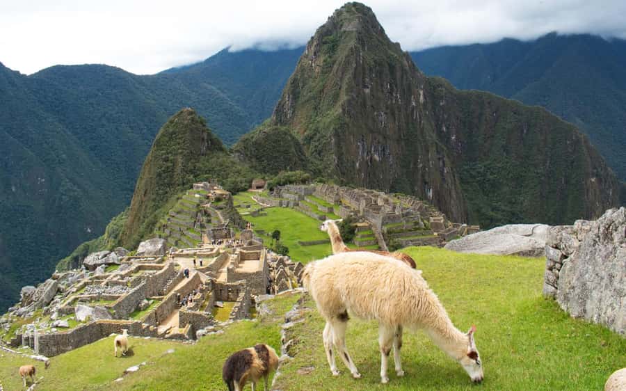 Machupicchu tour by tourist train in 2 days - What the guided visit adds